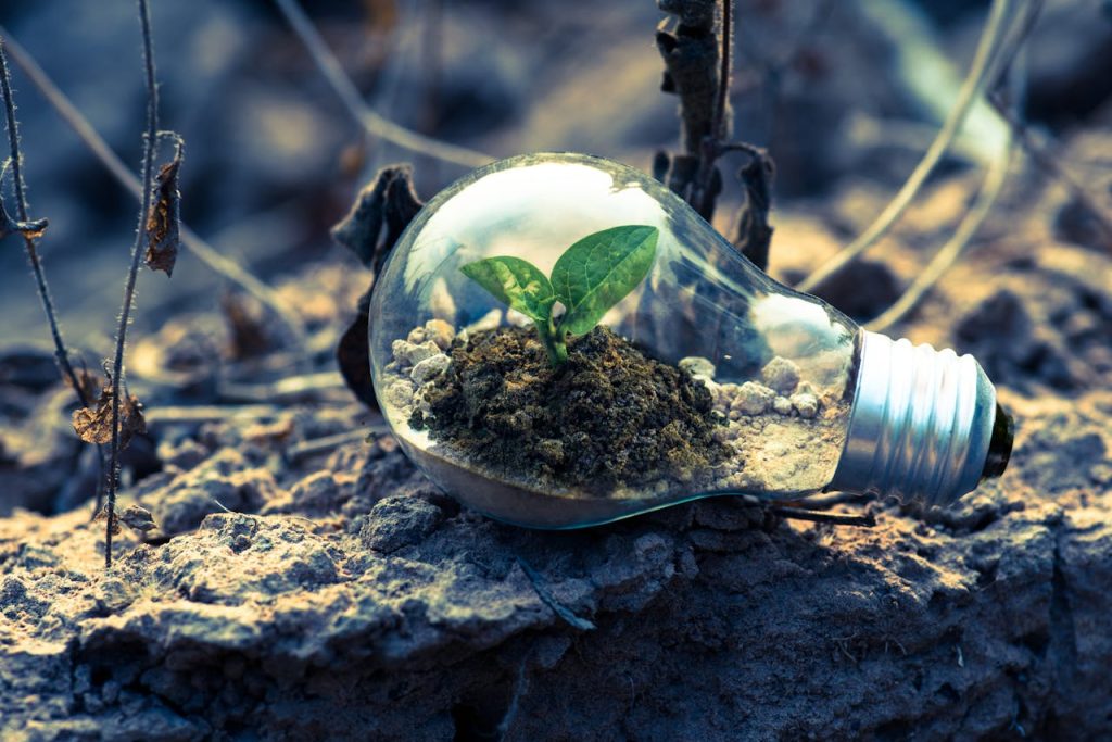 CleanTech Translations